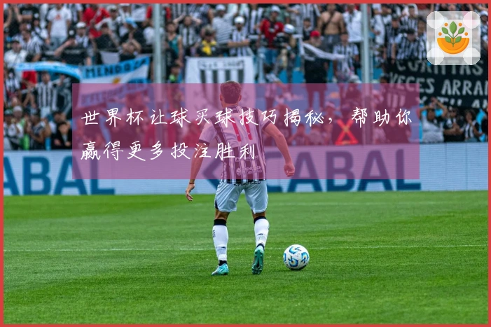 世界杯让球买球技巧揭秘，帮助你赢得更多投注胜利