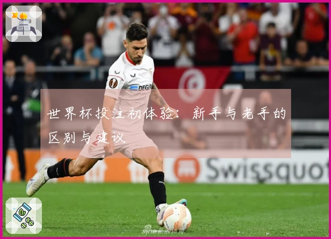 世界杯投注初体验：新手与老手的区别与建议