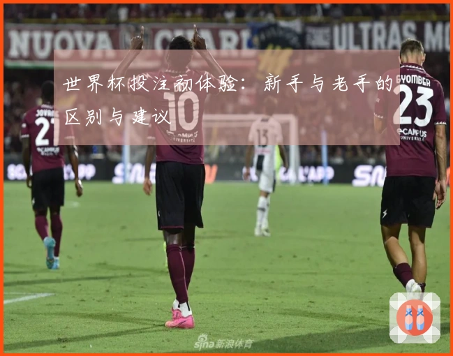 世界杯投注初体验：新手与老手的区别与建议