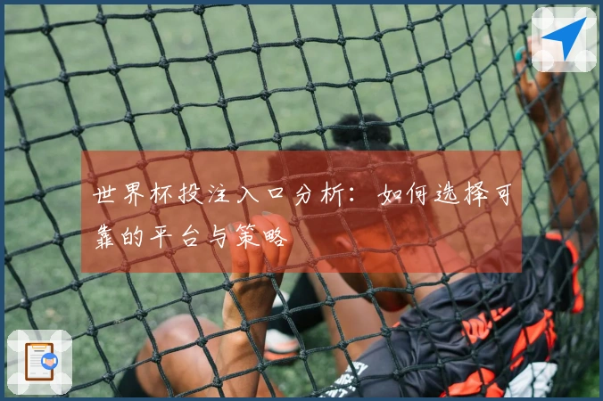 世界杯投注入口分析：如何选择可靠的平台与策略