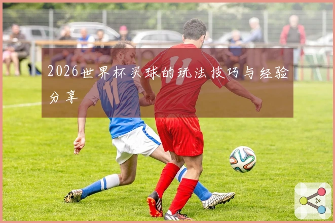 2026世界杯买球的玩法技巧与经验分享