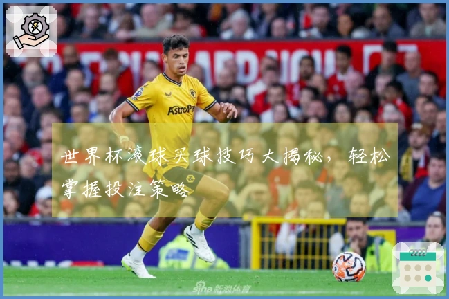 世界杯滚球买球技巧大揭秘，轻松掌握投注策略