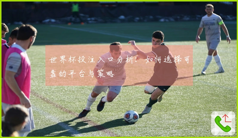 世界杯投注入口分析：如何选择可靠的平台与策略